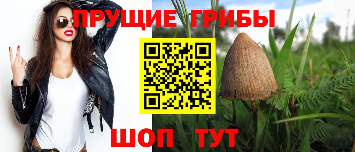 Псилоцибиновые грибы Psilocybe  Вход с VPN  Верхняя Салда 